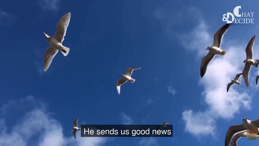 ...